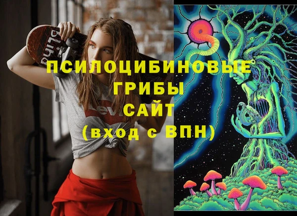 2c-b Верея