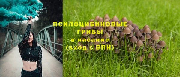 2c-b Верея