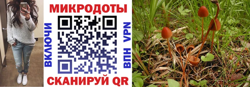 mega ссылки  Томск  Псилоцибиновые грибы MAGIC MUSHROOMS 